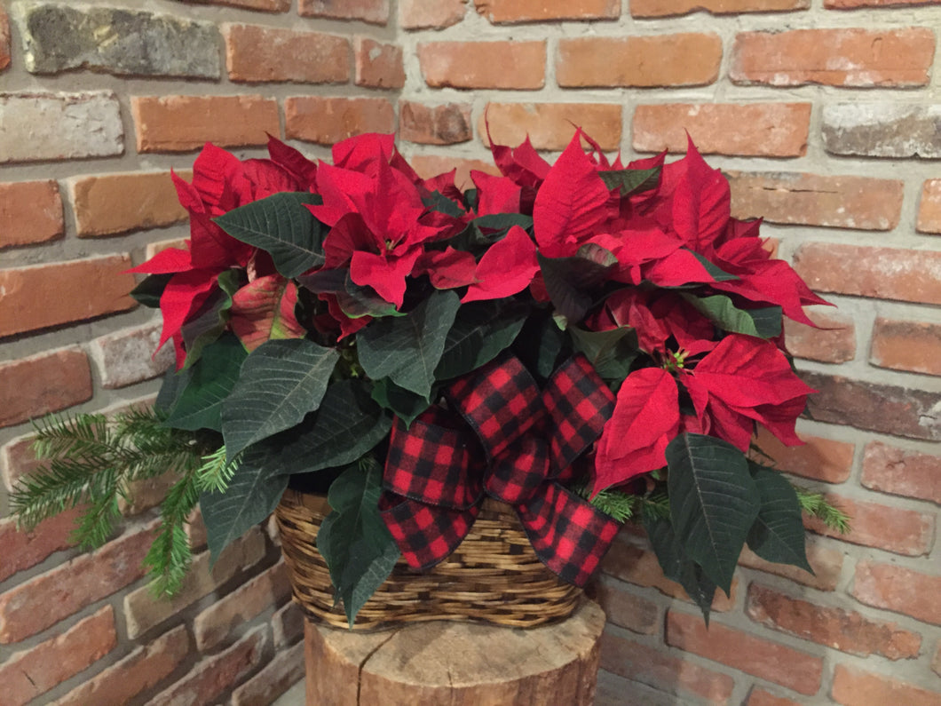 Plaid Poinsettia Basket